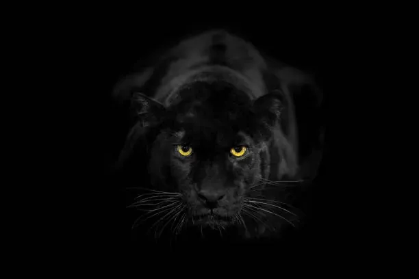 Dark cinematic landscape